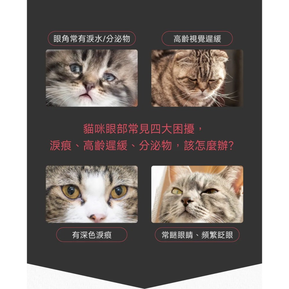 PetWell 沛威｜專效保健-護眼亮晶晶PRO 貓貓專用 (30包/盒) 維持眼部健康-細節圖2