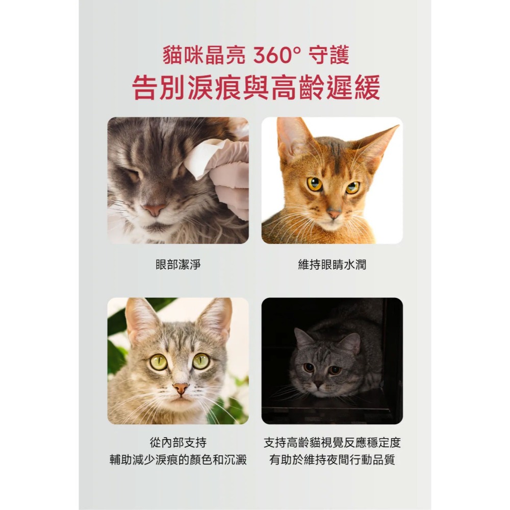 PetWell 沛威｜專效保健-護眼亮晶晶PRO 貓貓專用 (30包/盒) 維持眼部健康-細節圖4
