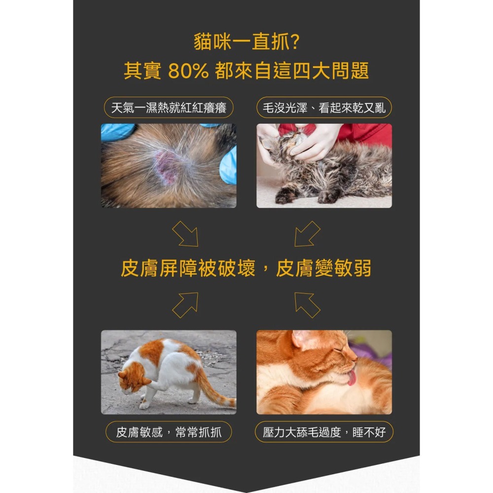 PetWell 沛威｜專效保健-膚健康PRO 貓貓專用 (30包/盒) 維持貓咪皮膚健康-細節圖2