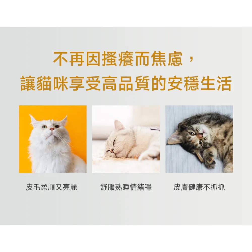 PetWell 沛威｜專效保健-膚健康PRO 貓貓專用 (30包/盒) 維持貓咪皮膚健康-細節圖4