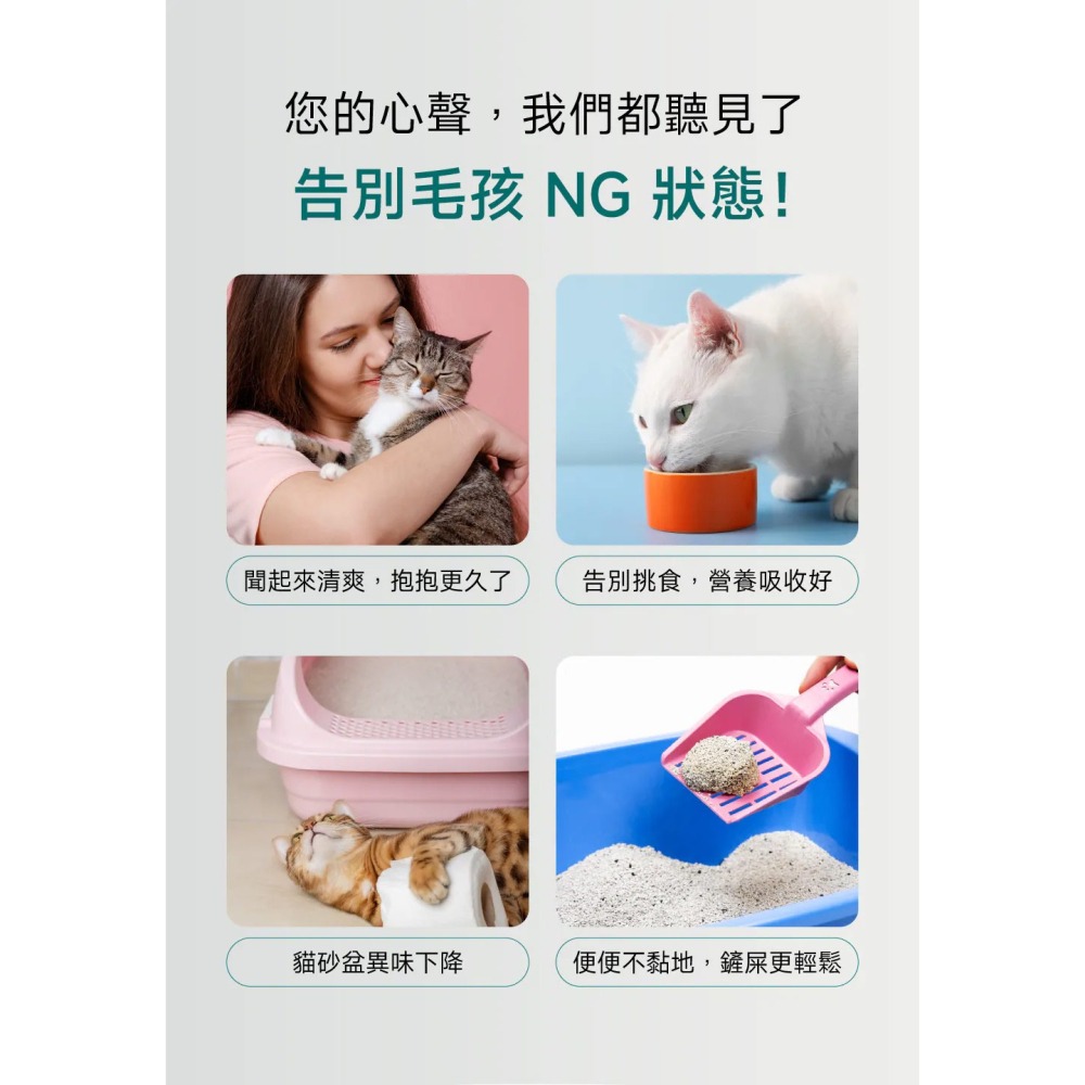 PetWell 沛威｜專效保健-好胃口益生菌 貓咪專用 (30包/盒) 維持腸道健康平衡-細節圖4