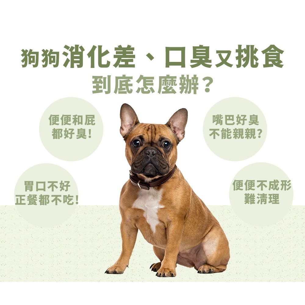PetWell 沛威｜狗保健-好胃口益生菌 輕巧包(5包/袋) 犬用 營養保健品 四效合一-細節圖3