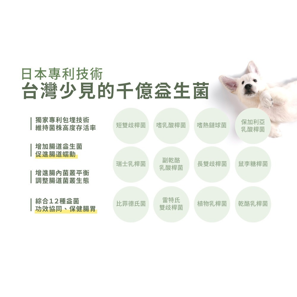 PetWell 沛威｜狗保健-好胃口益生菌 輕巧包(5包/袋) 犬用 營養保健品 四效合一-細節圖6