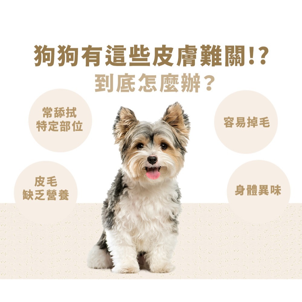 PetWell 沛威｜狗保健-膚健康 輕巧包(5包/袋) 犬用保健品 狗狗營養品 皮膚保健-細節圖3