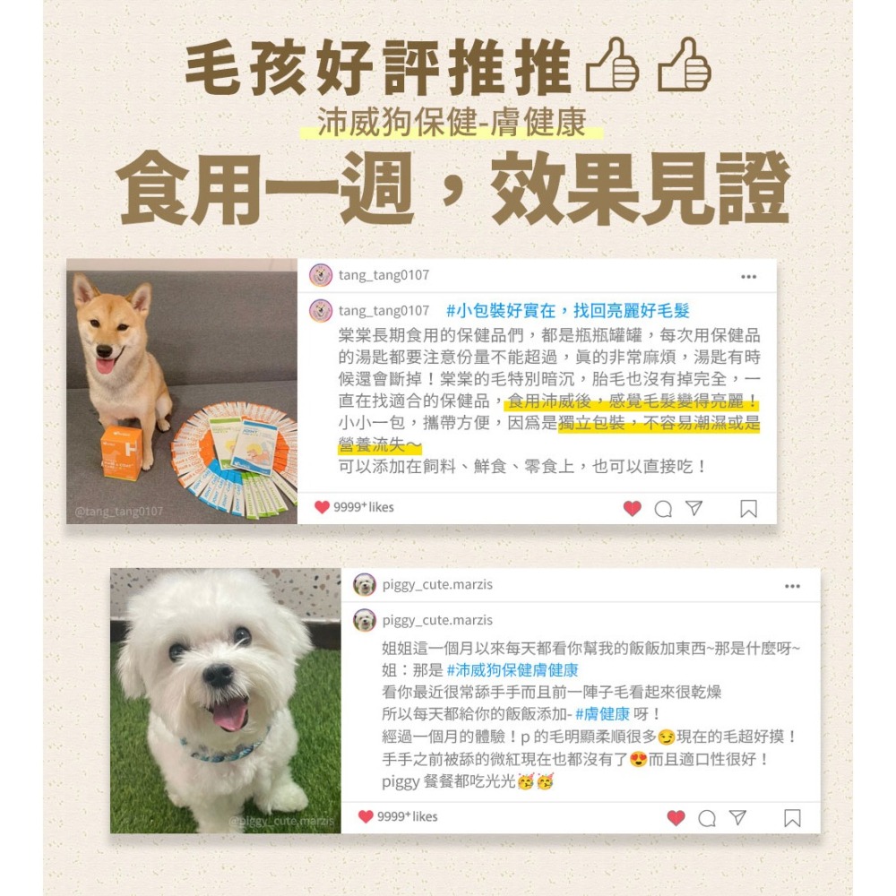 PetWell 沛威｜狗保健-膚健康 輕巧包(5包/袋) 犬用保健品 狗狗營養品 皮膚保健-細節圖4