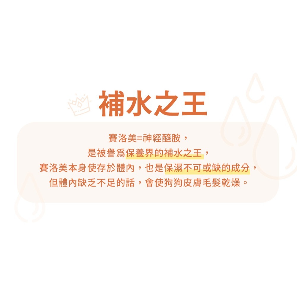 PetWell 沛威｜狗保健-膚健康 輕巧包(5包/袋) 犬用保健品 狗狗營養品 皮膚保健-細節圖6