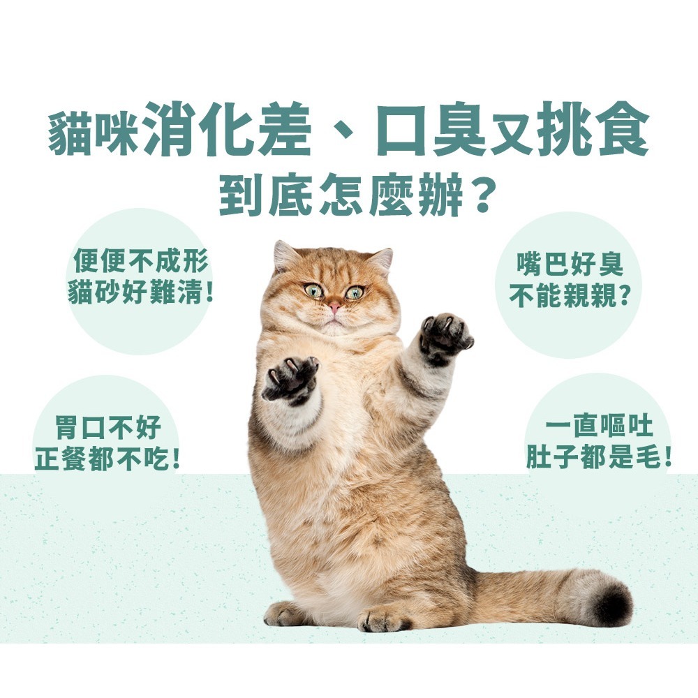 PetWell 沛威｜貓保健-好胃口益生菌 輕巧包(5包/袋) 貓用營養品 四效合一-細節圖3