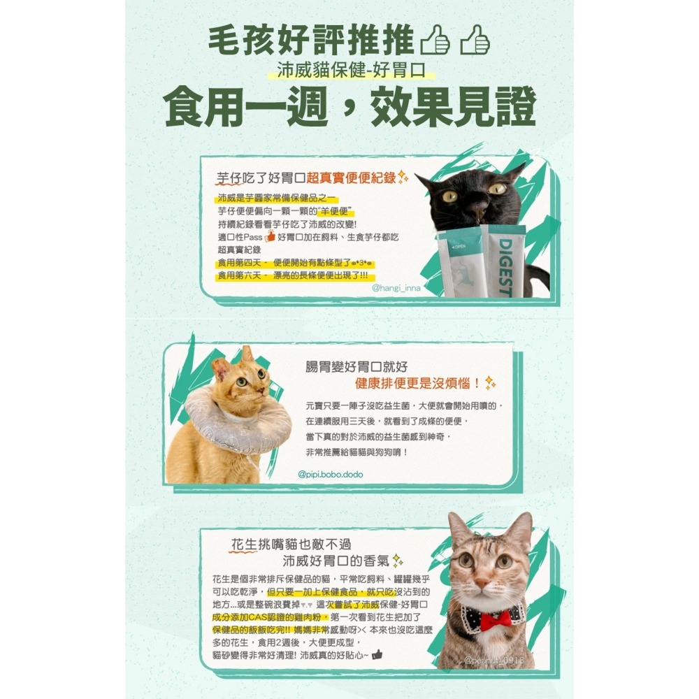 PetWell 沛威｜貓保健-好胃口益生菌 輕巧包(5包/袋) 貓用營養品 四效合一-細節圖4