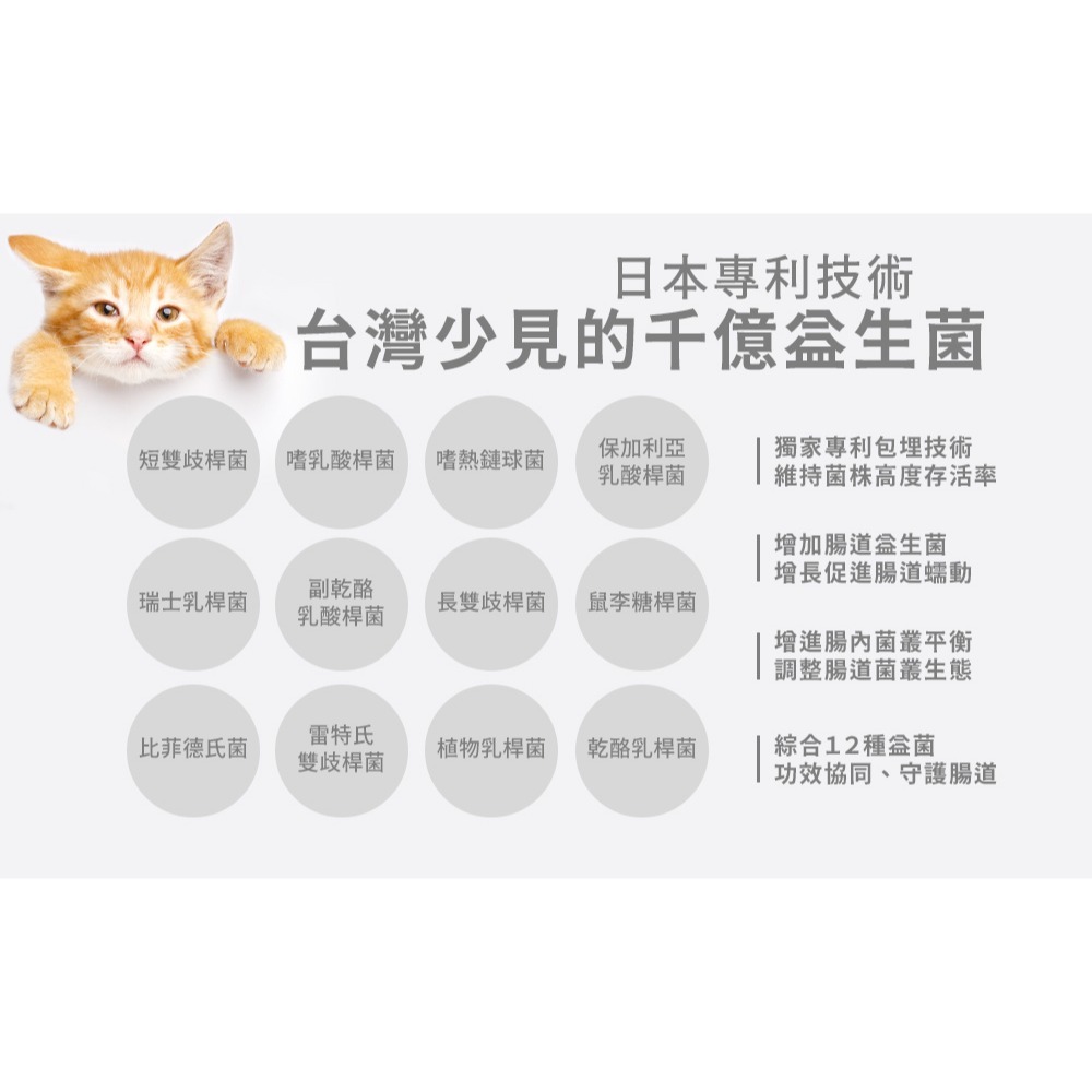 PetWell 沛威｜貓保健-好胃口益生菌 輕巧包(5包/袋) 貓用營養品 四效合一-細節圖6