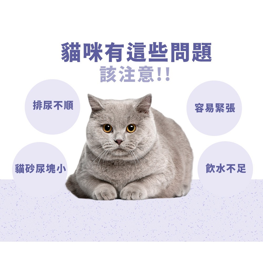 PetWell 沛威｜貓保健-護泌尿 輕巧包(5包/袋) 貓用營養品 寵物保健 天然防護-細節圖3