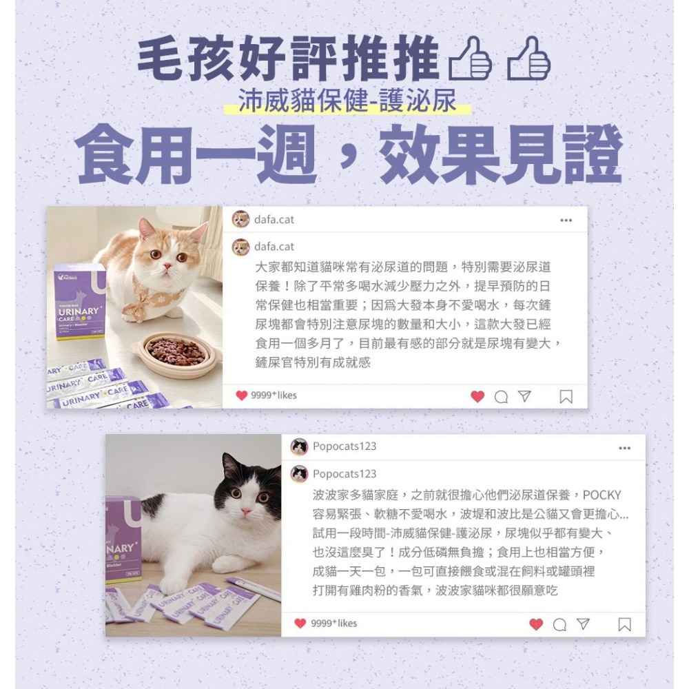 PetWell 沛威｜貓保健-護泌尿 輕巧包(5包/袋) 貓用營養品 寵物保健 天然防護-細節圖4