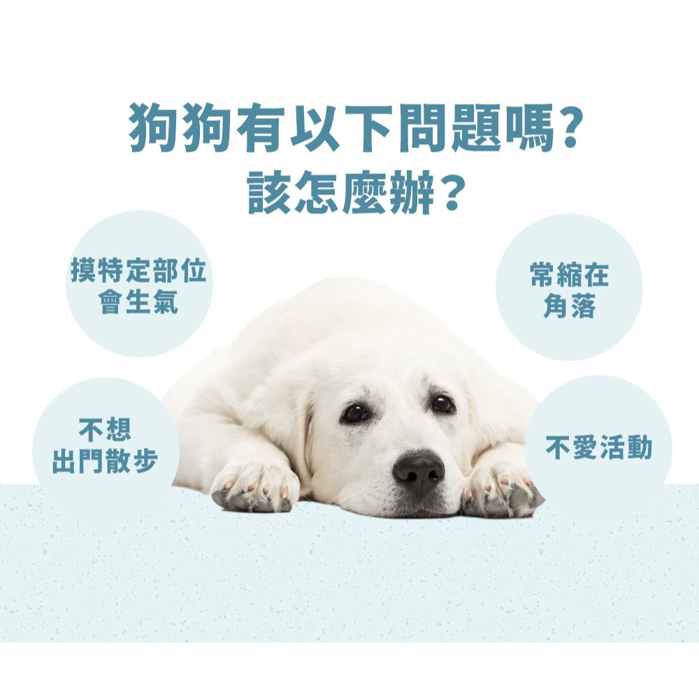PetWell 沛威｜狗保健-顧關節 輕巧包(5包/袋) 犬用保健品 狗狗營養品 關節營養-細節圖3