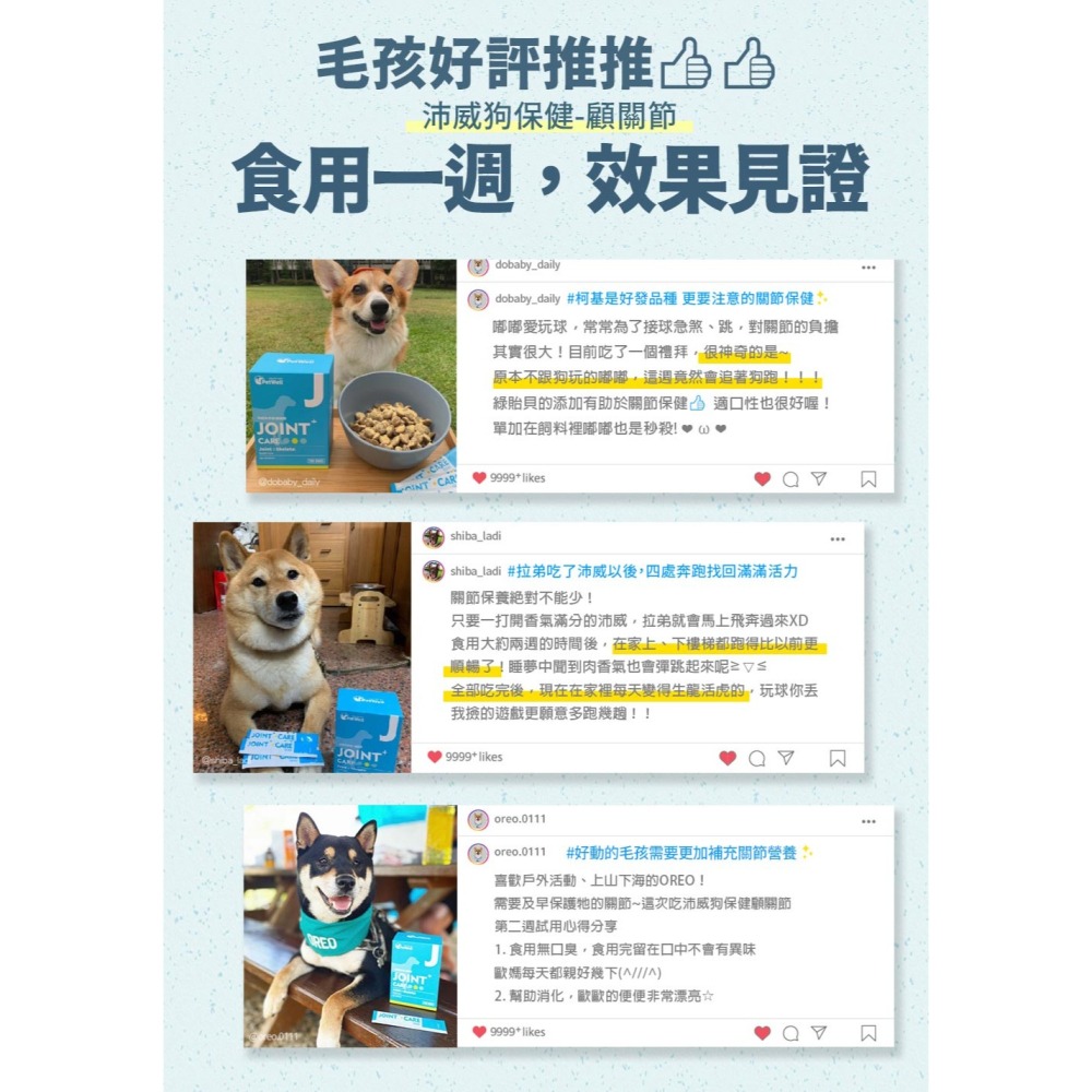 PetWell 沛威｜狗保健-顧關節 輕巧包(5包/袋) 犬用保健品 狗狗營養品 關節營養-細節圖4