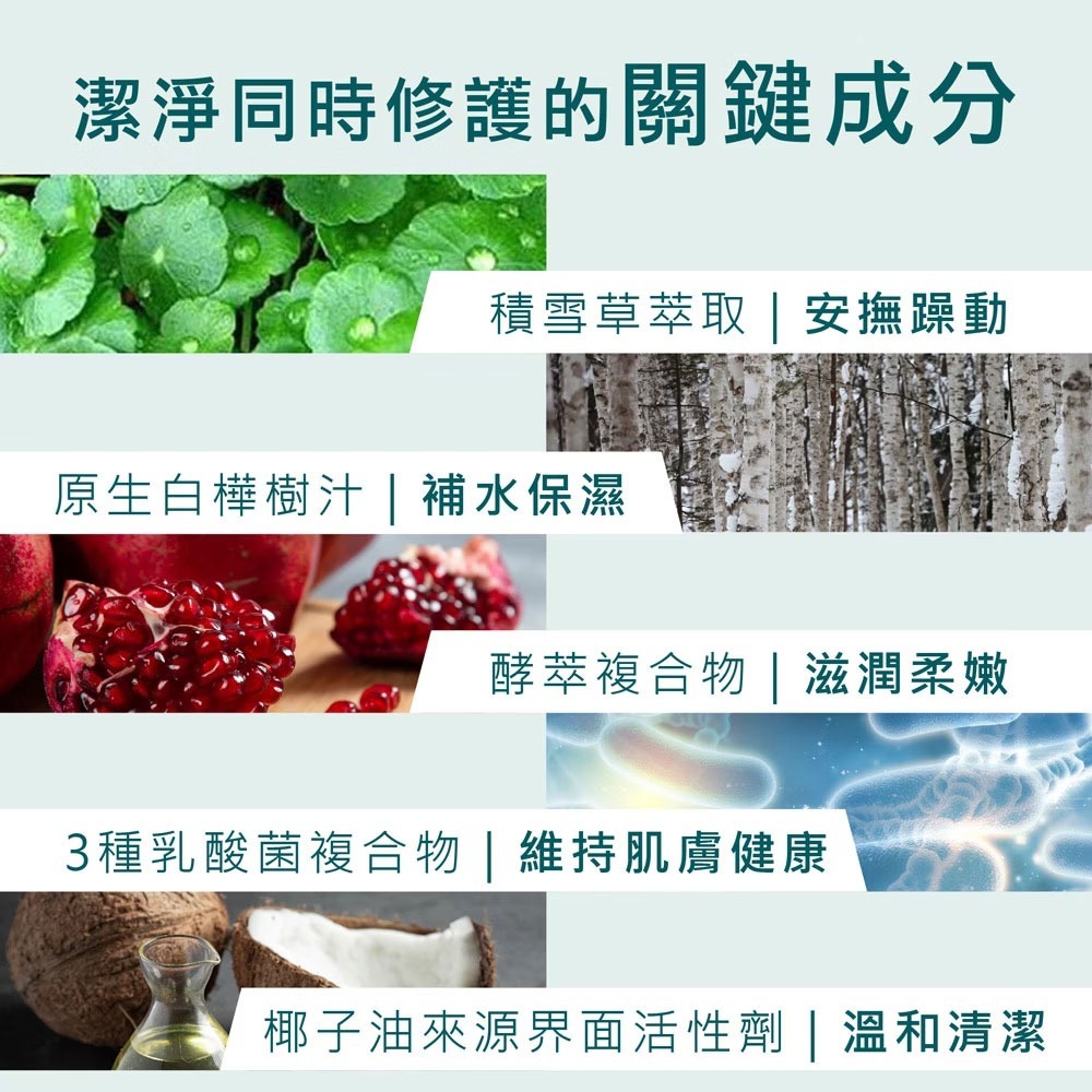 L＇EGERE 蘭吉兒｜503BOU 積雪草酵萃潔面乳200ml 植萃酵萃 無皂基 超親膚 新品 益生菌平衡-細節圖4