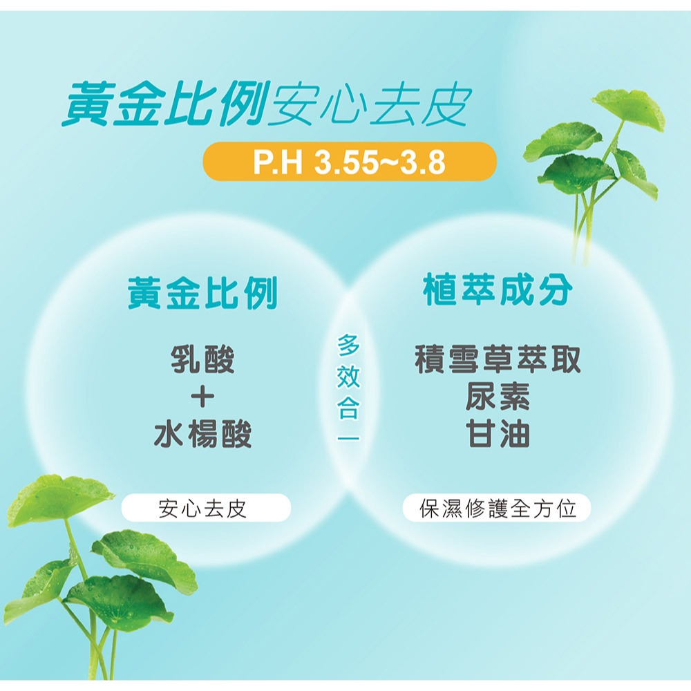 KAMERIA 足足稱奇 去皮嫩足膜 - 積雪草 (2枚入/盒) 足底SPA-細節圖5