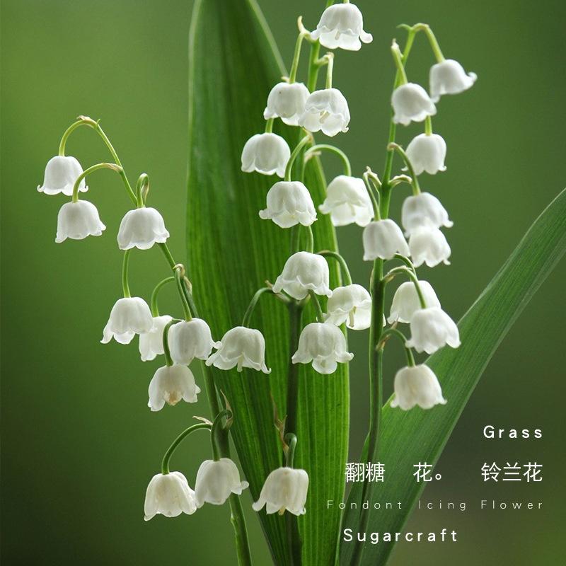 臺灣出貨 現貨 歐思麥烘焙 SK茵冠 翻糖糖花紋路模 鈴蘭花葉子矽膠模 家用模擬花卉烘焙工具（依）-細節圖4