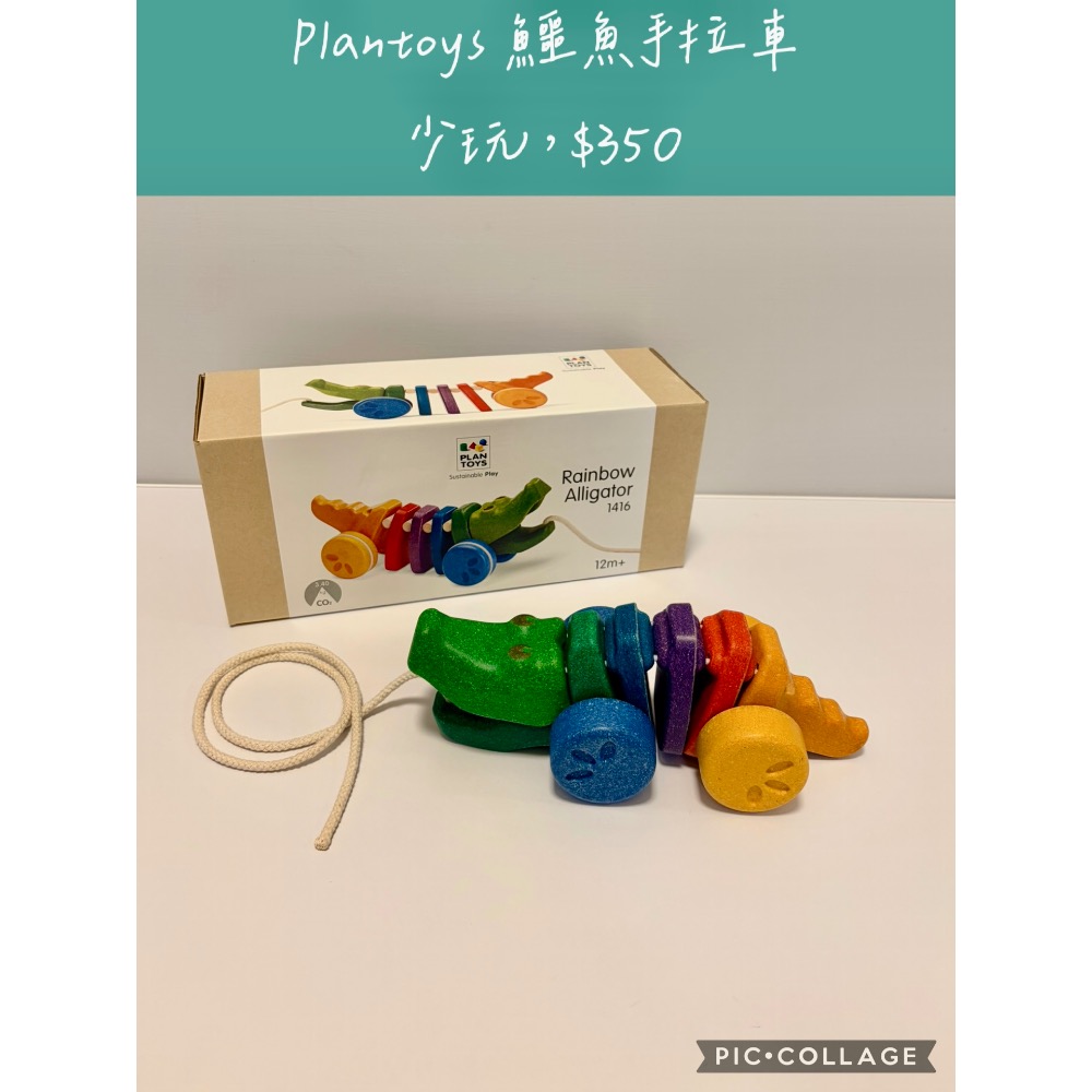 保家-珊珊-細節圖2