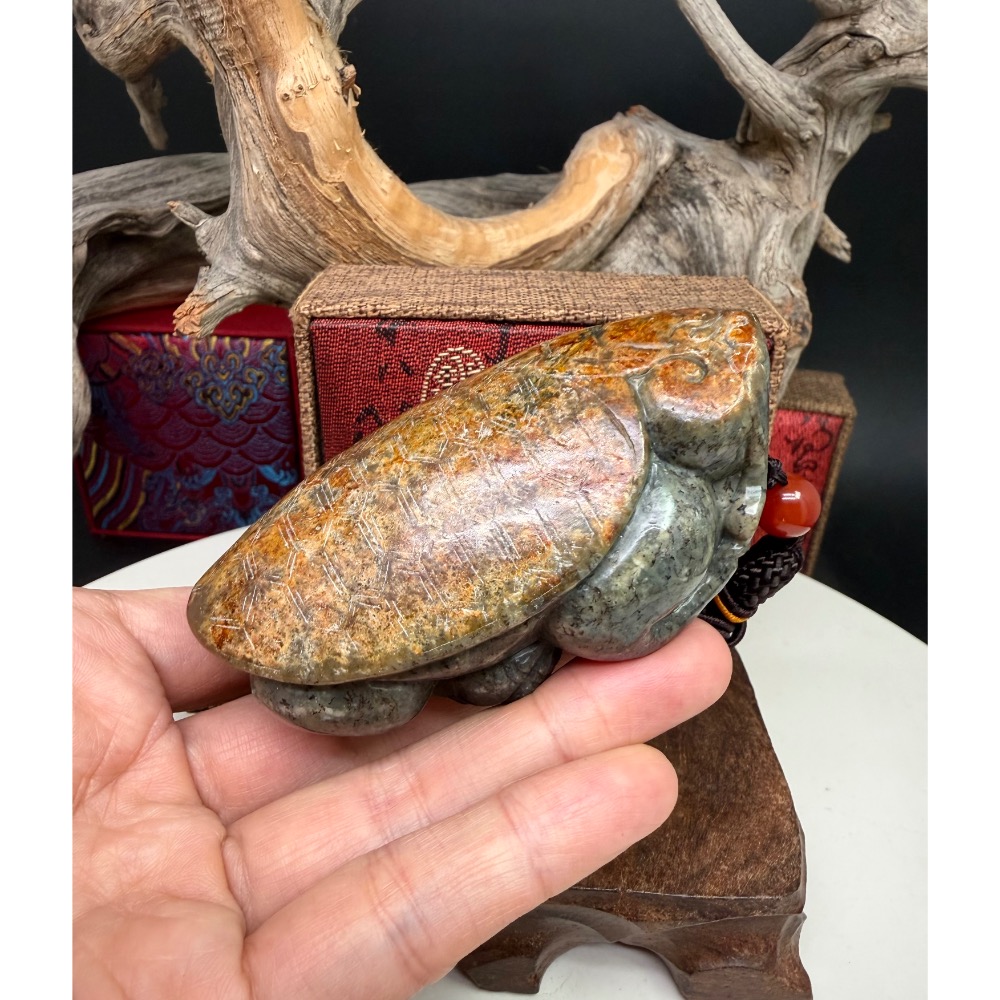 《寶瑠璃玉石水晶》保真天然和田玉聚墨青花籽料帶紅沁，手工立體雕刻「榮華富貴」龍龜擺件、手把件(附檢驗證書)-細節圖3
