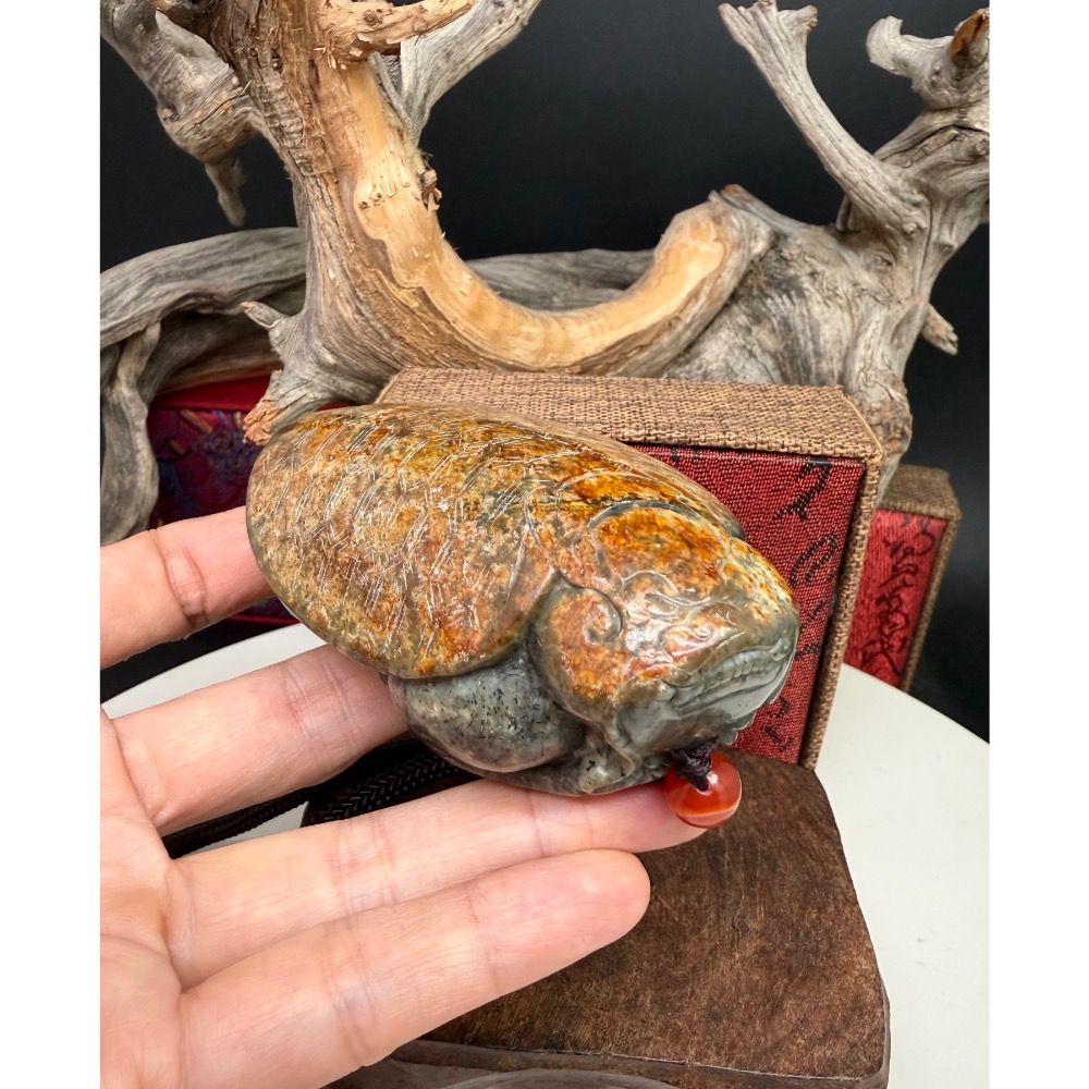 《寶瑠璃玉石水晶》保真天然和田玉聚墨青花籽料帶紅沁，手工立體雕刻「榮華富貴」龍龜擺件、手把件(附檢驗證書)-細節圖8
