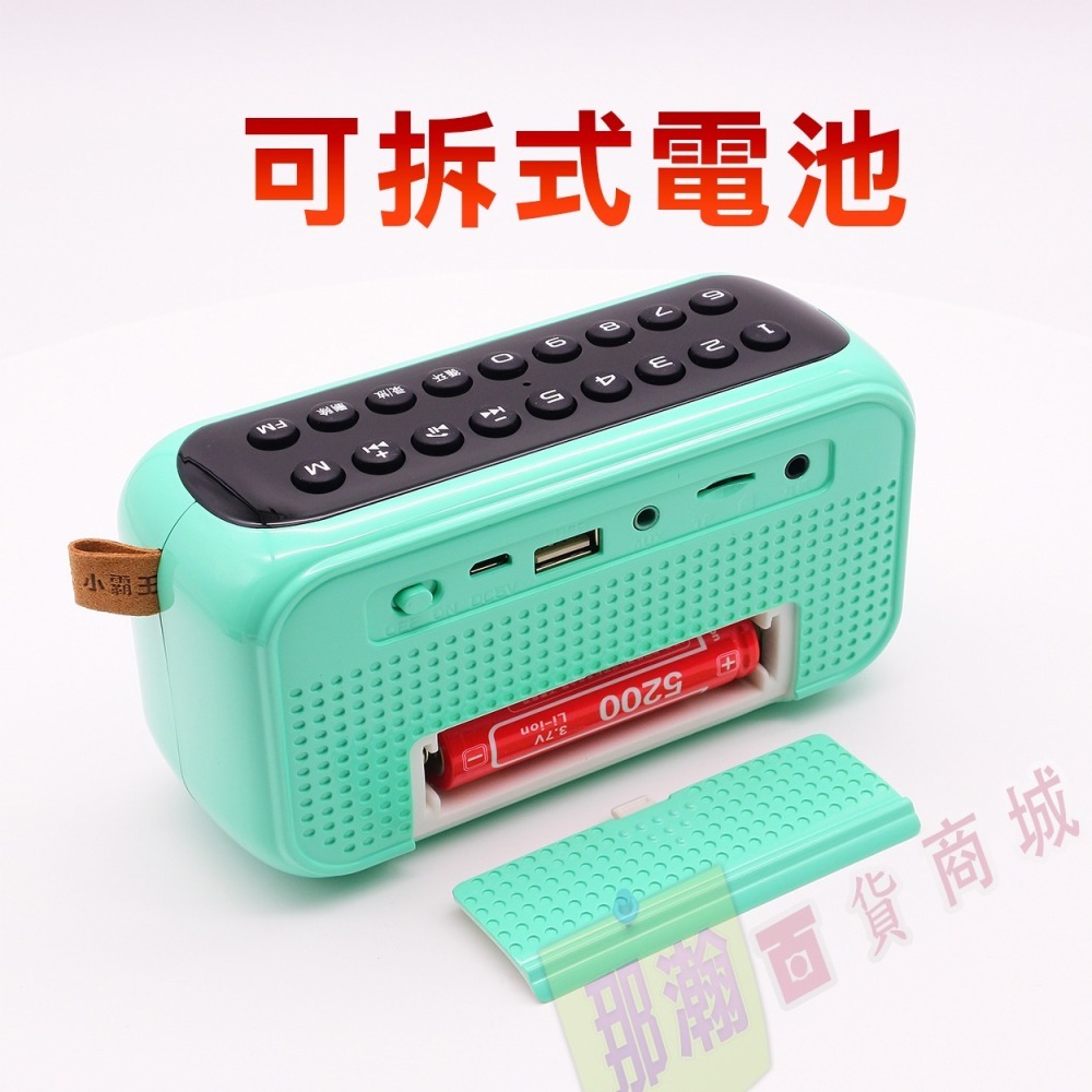 臺灣出貨：Subor/小霸王W19可拆式電池藍牙音箱插卡USB隨身碟FM收音機錄音播放器-細節圖3