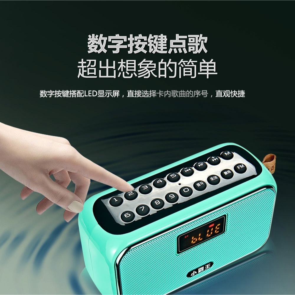 臺灣出貨：Subor/小霸王W19可拆式電池藍牙音箱插卡USB隨身碟FM收音機錄音播放器-細節圖7