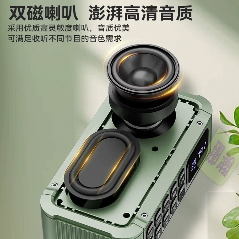 快速出貨：琅韵D82 藍牙無線音響FM收音機可拆卸電池錄音便攜插卡耳機U盤收音機播放器-細節圖4