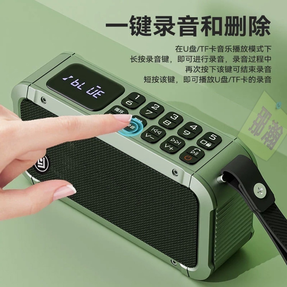 快速出貨：琅韵D82 藍牙無線音響FM收音機可拆卸電池錄音便攜插卡耳機U盤收音機播放器-細節圖5