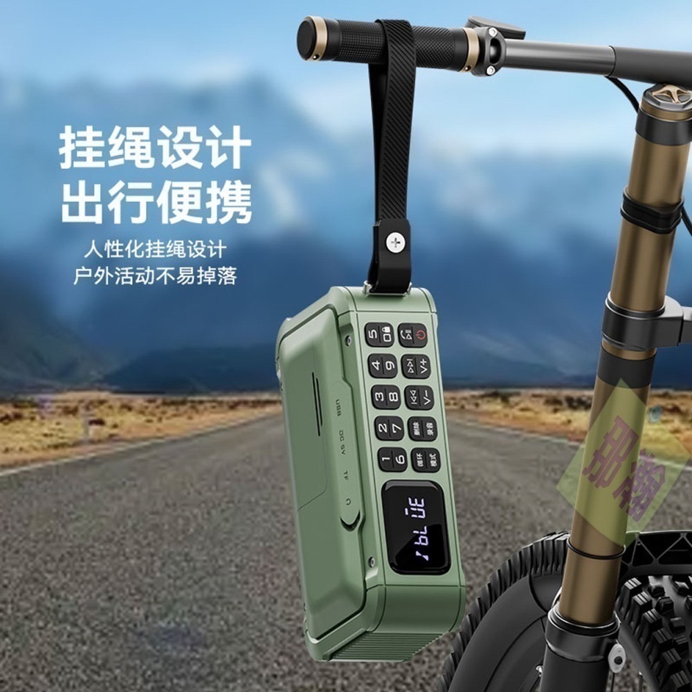 快速出貨：琅韵D82 藍牙無線音響FM收音機可拆卸電池錄音便攜插卡耳機U盤收音機播放器-細節圖7