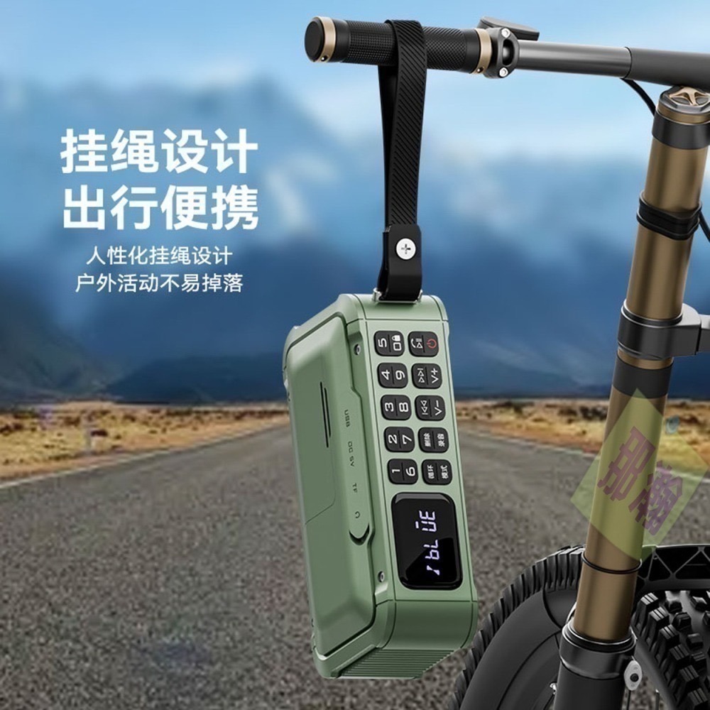 快速出貨：琅韵D82 藍牙無線音響FM收音機可拆卸電池錄音便攜插卡耳機U盤收音機播放器-細節圖7