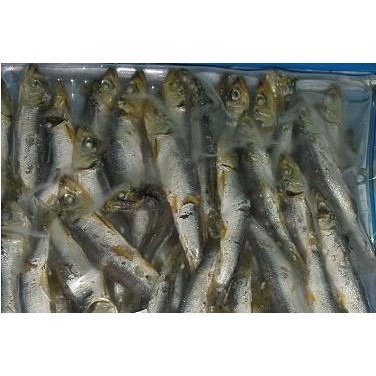 澎湖優鮮配♥ 澎湖名產 臭肉魚乾 ( 沙丁魚干 )-細節圖3