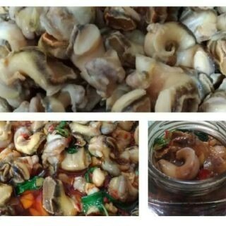 澎湖優鮮配♥ 澎湖名產 風味鳳螺醬-細節圖2