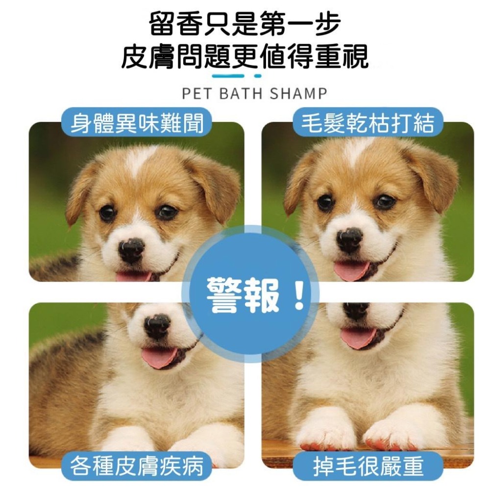 【雜惑殿】貓咪乾洗泡沫 幼犬免洗殺菌除臭除蟎香波 狗狗乾洗 粉寵物沐浴露用品-細節圖3