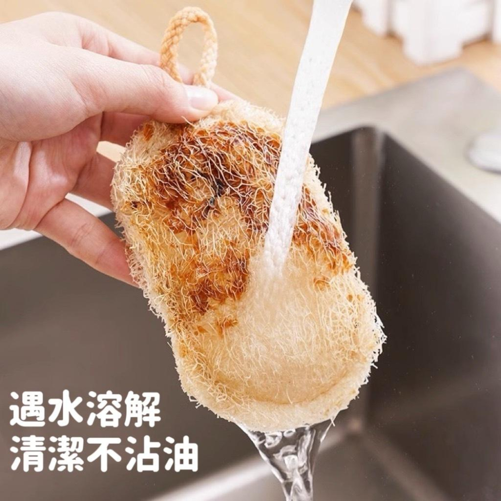 【台灣現貨火速寄出】天然絲瓜絡 洗碗洗碗刷 絲瓜烙 絲瓜瓤 絲瓜 洗碗巾 抹布刷 絲瓜絡 洗碗神器-細節圖3