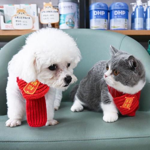 【台灣現貨火速寄出】寵物圍巾 招財進寶 過年喜氣 貓咪 狗狗 寵物圍脖 針織 保暖紅色圍巾 創意 C0007-細節圖3