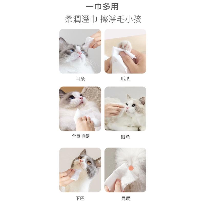 【台灣現貨火速寄出】寵物濕巾80抽 貓咪狗狗專用 擦淚痕 清理身體部位 免洗 除臭清潔濕紙巾-細節圖5