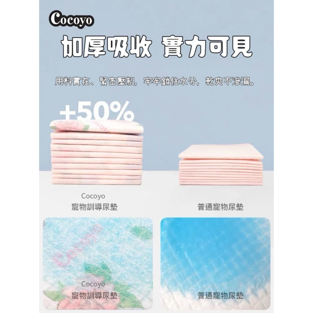 【台灣現貨火速寄出】Cocoyo狗狗尿墊 訓練 尿布 春日櫻花 加厚 消臭 寵物尿片 泰迪 尿不濕墊-細節圖5
