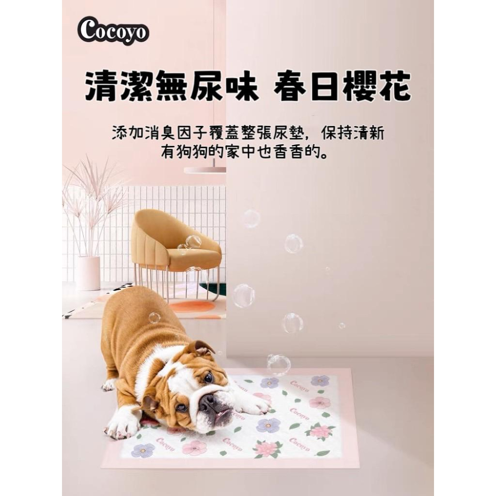 【台灣現貨火速寄出】Cocoyo狗狗尿墊 訓練 尿布 春日櫻花 加厚 消臭 寵物尿片 泰迪 尿不濕墊-細節圖3
