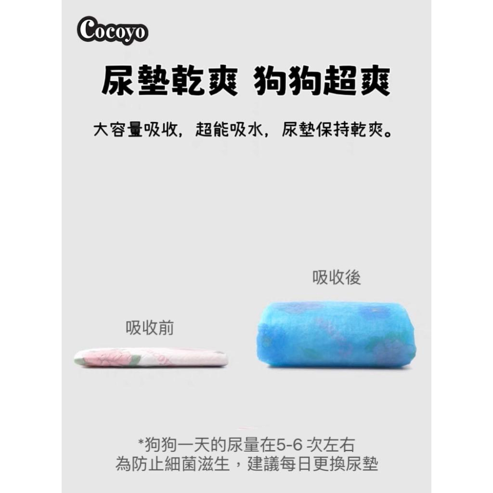 【台灣現貨火速寄出】Cocoyo狗狗尿墊 訓練 尿布 春日櫻花 加厚 消臭 寵物尿片 泰迪 尿不濕墊-細節圖4