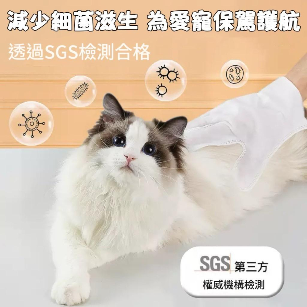 【台灣現貨火速寄出】寵物免洗手套 6入 貓咪 狗 洗澡 寵物濕紙巾 寵物洗澡手套 清潔 乾洗除臭 寵物用品 C0001-細節圖4