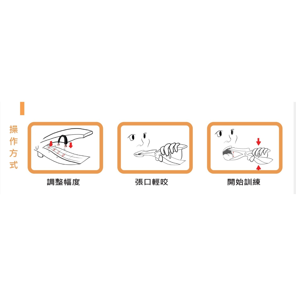 貝克 開口訓練器-細節圖3