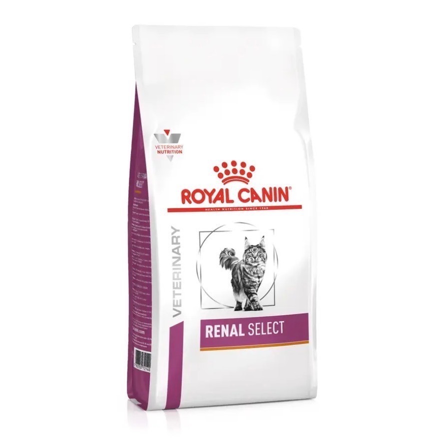 2公斤