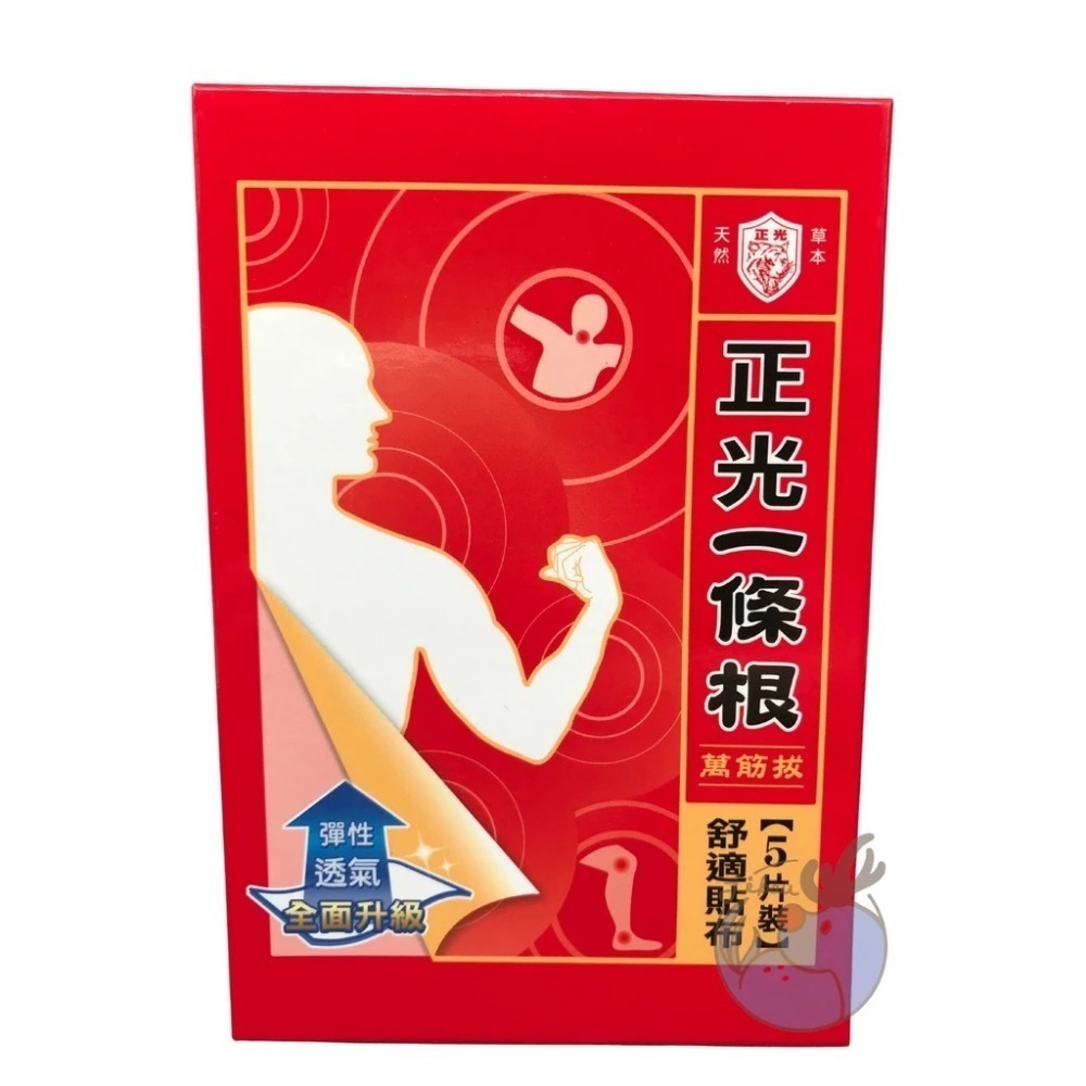 正光 一條根 五片/盒