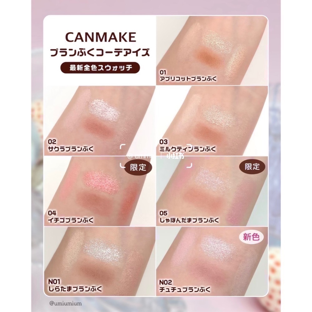 日本直送🌸在台現貨🌸CANMAKE 淚眼汪汪雙頭臥蠶盤-細節圖7
