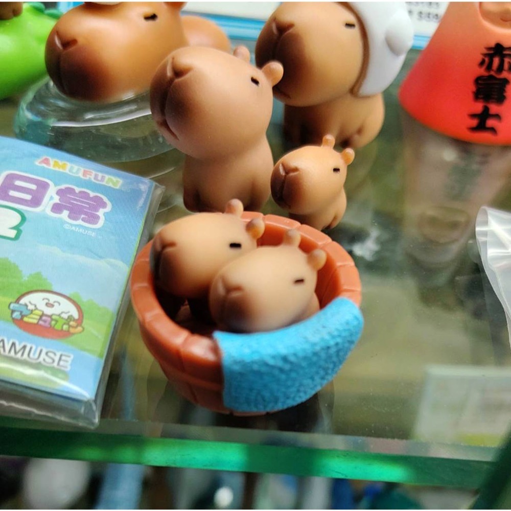 轉蛋  AMUFUN 卡皮巴拉的日常2(套5入)  300日幣-細節圖3