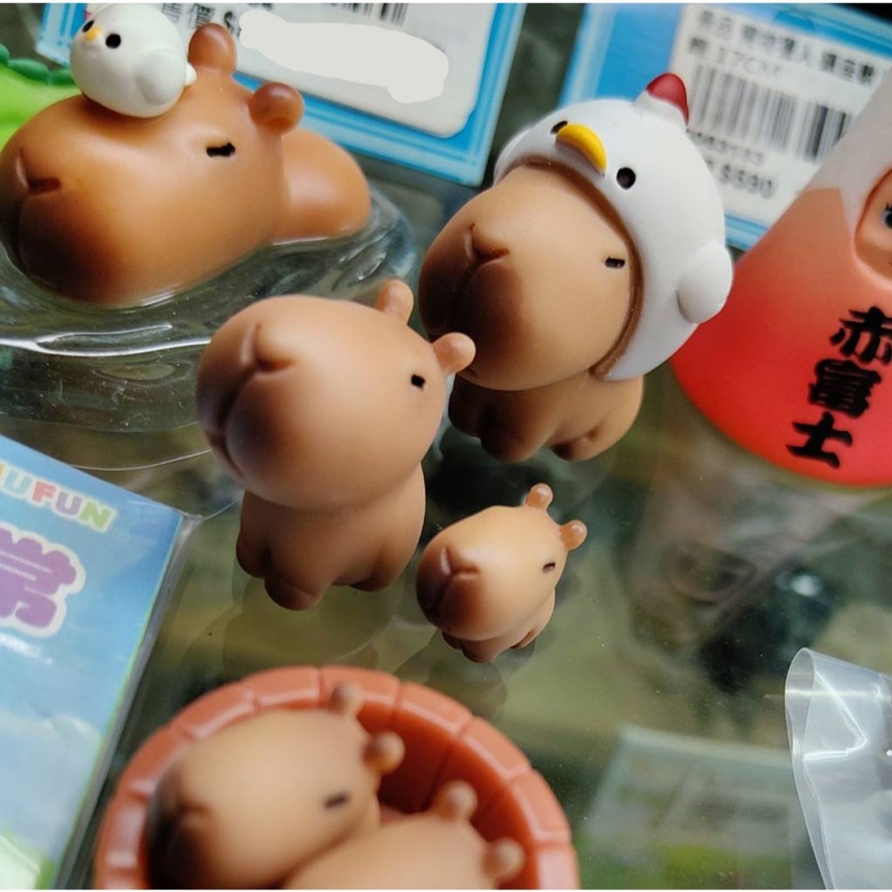 轉蛋  AMUFUN 卡皮巴拉的日常2(套5入)  300日幣-細節圖4
