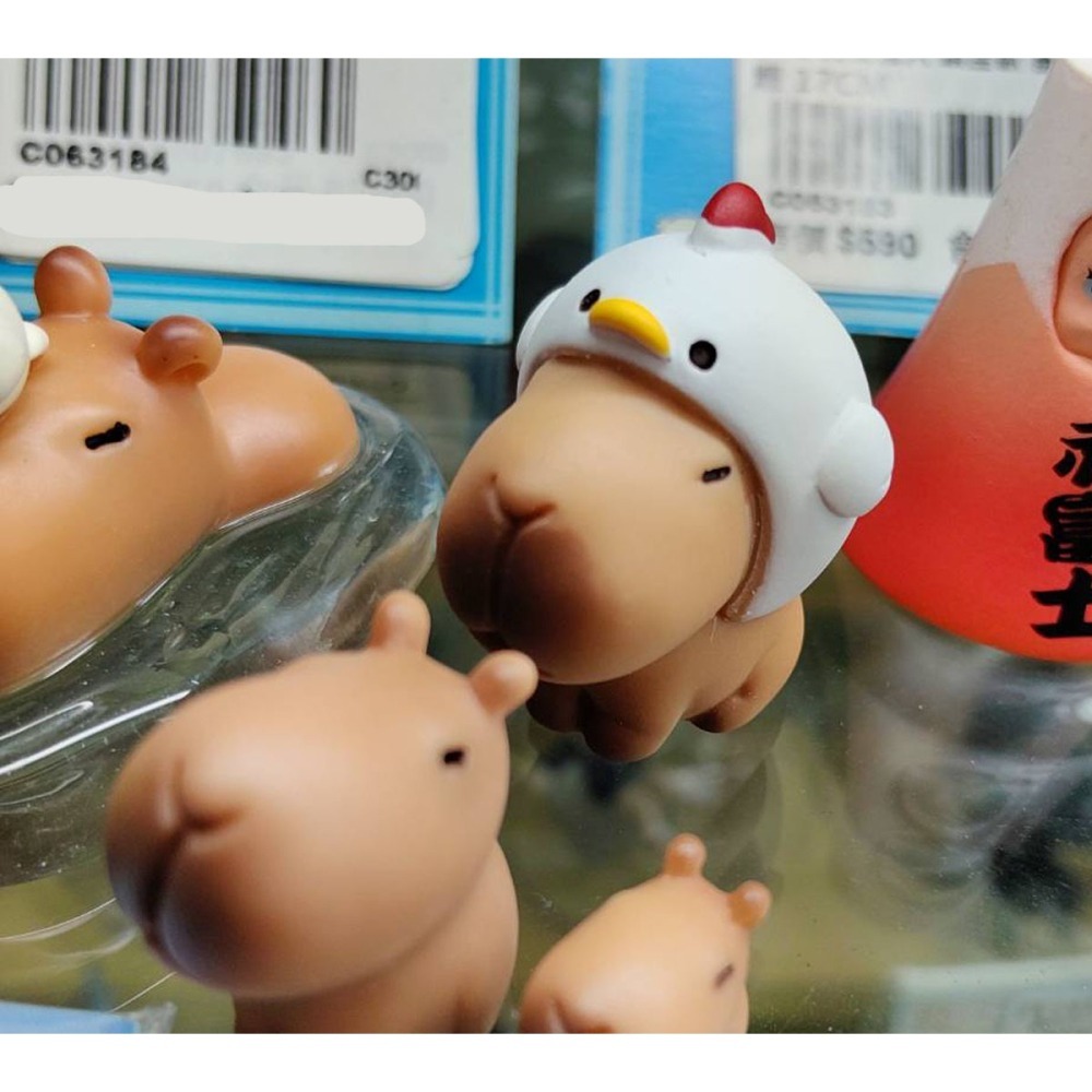 轉蛋  AMUFUN 卡皮巴拉的日常2(套5入)  300日幣-細節圖5