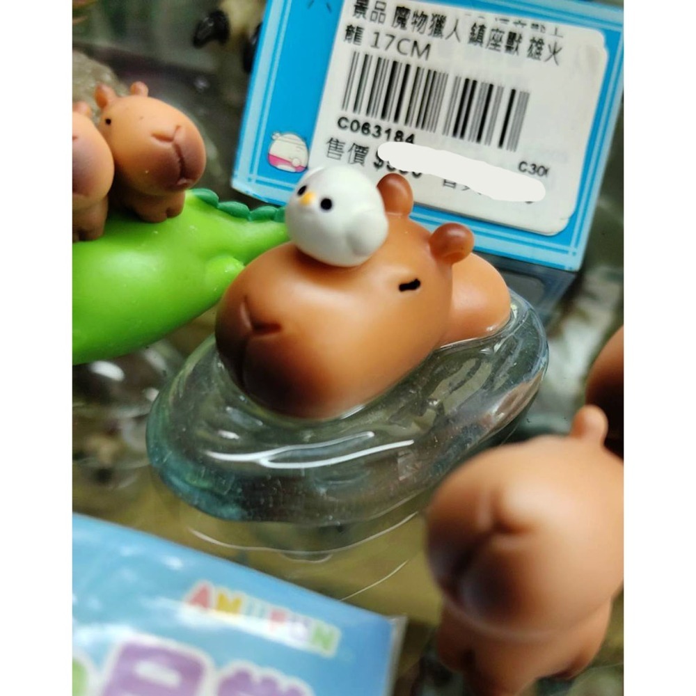 轉蛋  AMUFUN 卡皮巴拉的日常2(套5入)  300日幣-細節圖6