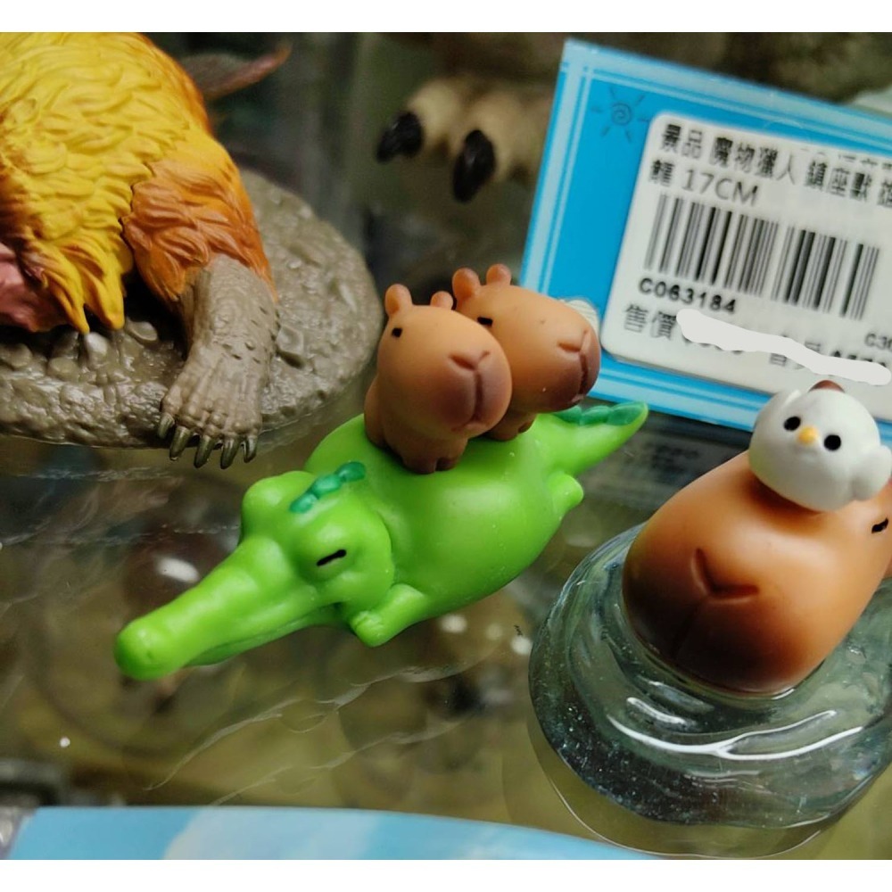 轉蛋  AMUFUN 卡皮巴拉的日常2(套5入)  300日幣-細節圖7