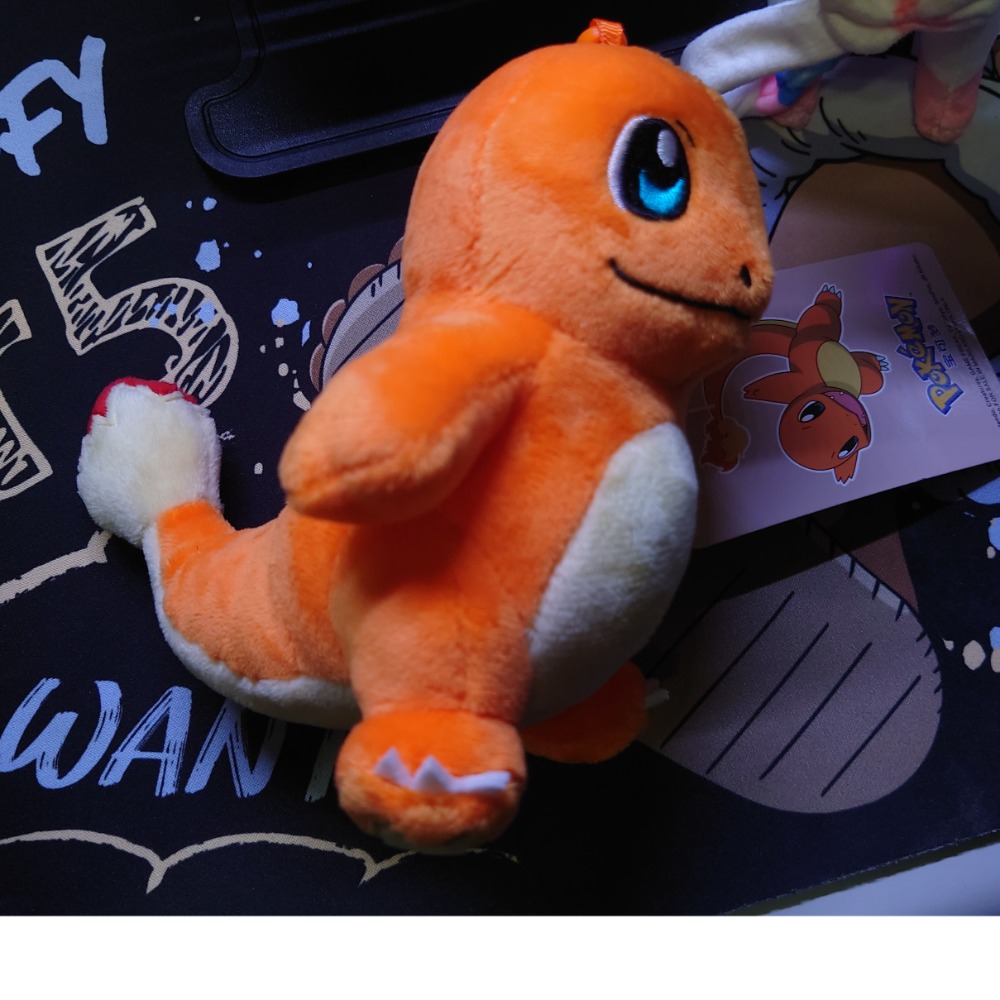 全新現貨 寶可夢娃娃 皮丘 仙子伊布 小火龍-細節圖4