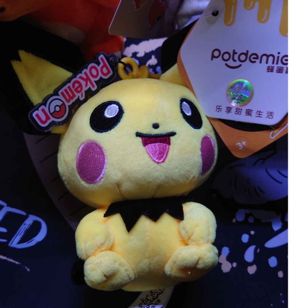 全新現貨 寶可夢娃娃 皮丘 仙子伊布 小火龍-細節圖3